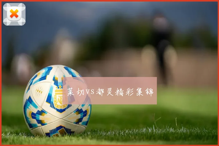 莱切vs都灵精彩集锦