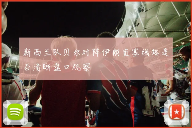 新西兰队贝尔对阵伊朗直塞线路是否清晰盘口观察