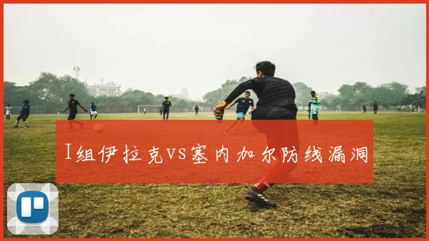 I组伊拉克vs塞内加尔防线漏洞